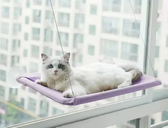 Cozy Critter Hammock