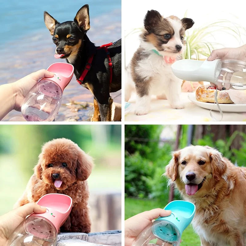 Portable Pet Bottle