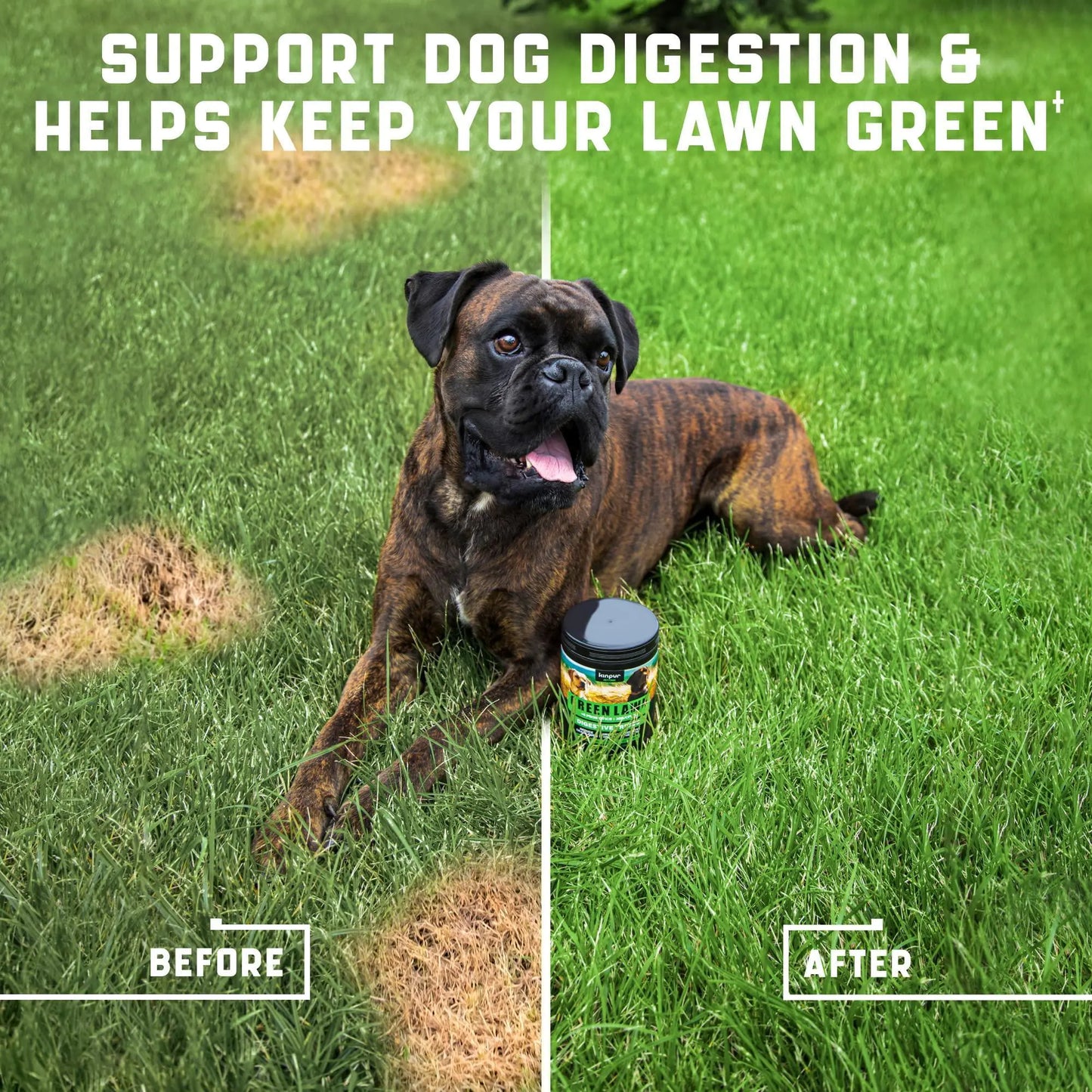 Green Turf Dog Chews: Cranberry & ACV Blend