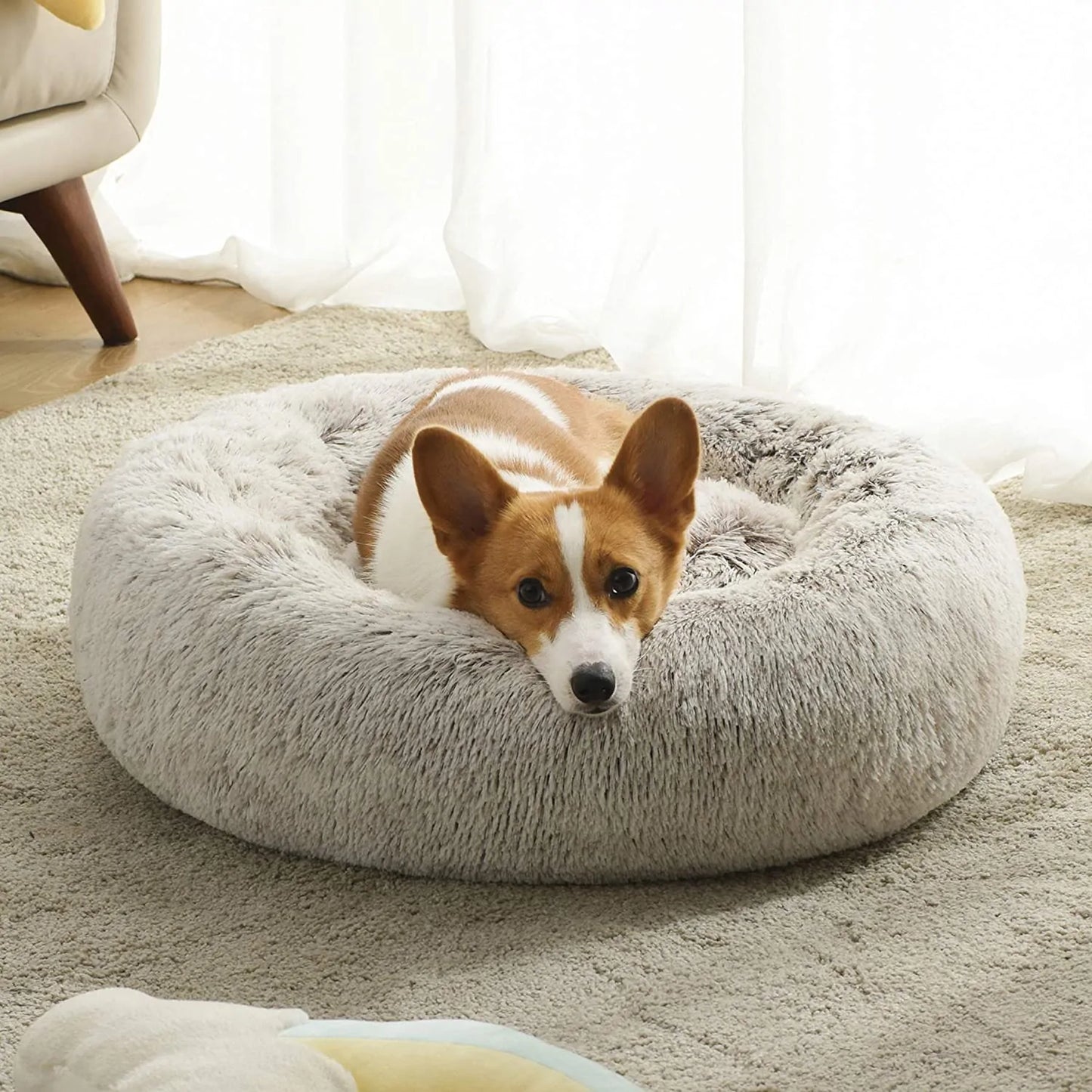 Donut Dog Bed